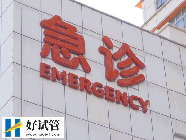 山东做供卵试管婴儿选哪家?这三家技术、妊娠率都非常好(图1) 山东哪里做试管婴儿好