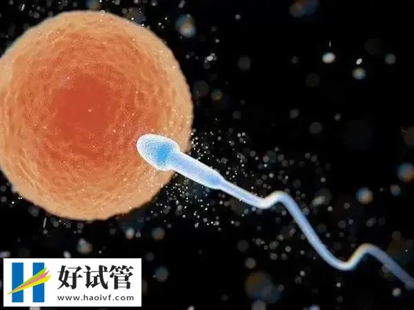 人工授精第14天hcg多少正常(图1) 人工授精受孕后血值会急剧上升