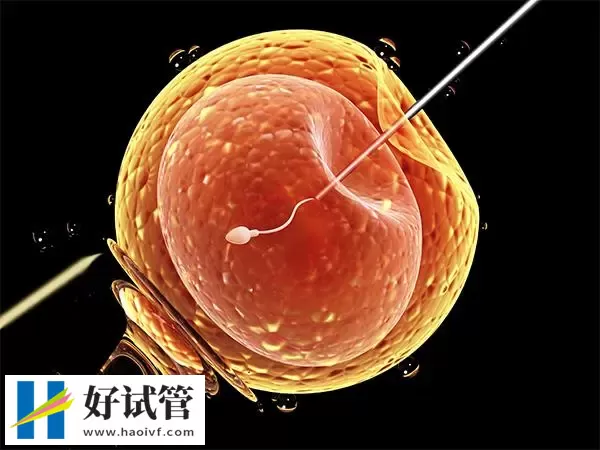不明原因不孕可不可以做试管婴儿(图1) 导致不明原因不孕的原因很多