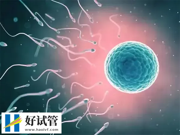 黔南试管婴儿移植后多久才稳定(图1) 移植后要注意避免劳累