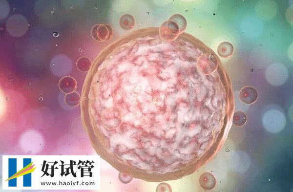 黔东南试管婴儿的专业术语有哪些(图3) 养囊就是养成囊胚的过程