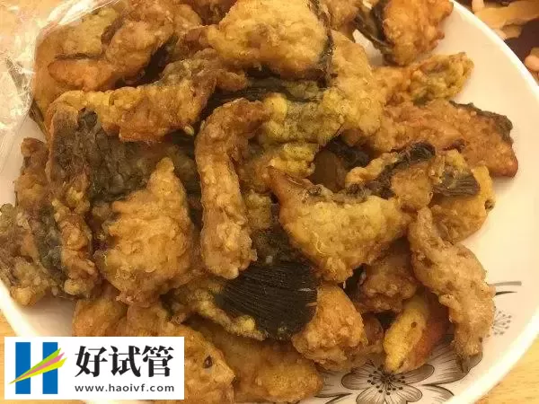 胚胎移植后吃油炸食物有什么影响(图1) 移植后少吃油炸食物