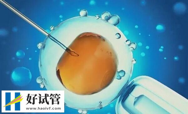 AMH1.0自然怀孕几率(图3) 年龄影响卵子质量