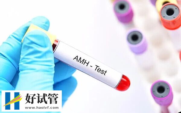AMH值0.51能否做试管婴儿(图1) AMH值0.51能不能做试管婴儿