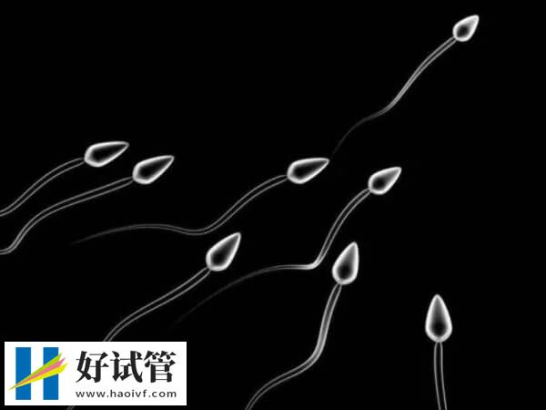 广东省计划生育专科医院供精试管费用揭秘,附申请条件(图1) 精子库申请供精需要有适应症