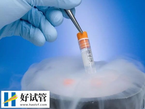 单身男性能不能做试管(图1) 单身男性不能做试管婴儿