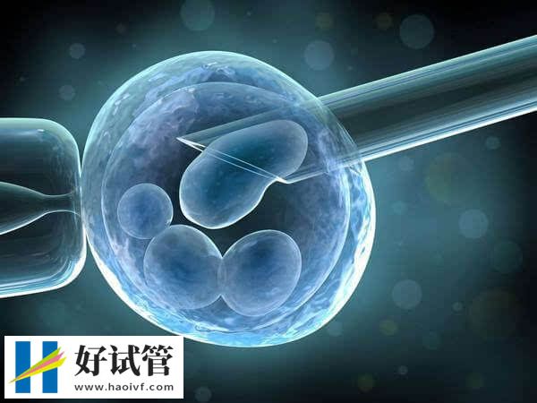 第三代试管婴儿的优势是什么(图2) 三代试管的流程和一二代试管差不多