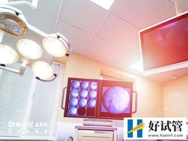 试管婴儿生双胞胎有什么风险(图1) 试管婴儿生双胞胎风险大