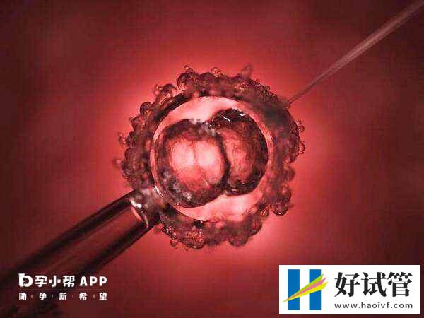 超长方案取卵数量是否比短方案多(图1) 超长方案的取卵数量会比短方案多