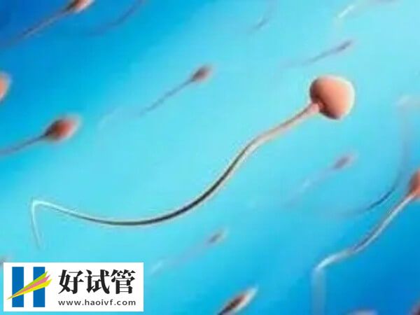 弱精做试管成功率高不高(图1) 弱精症做试管婴儿的成功率高