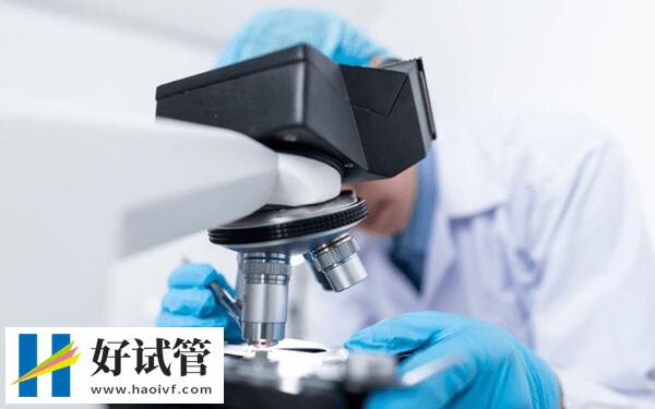 dmd携带者能不能做第三代试管(图1) dmd携带者只能做三代试管