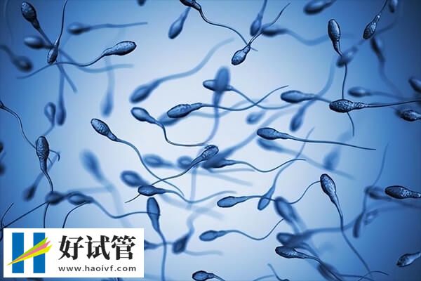 西宁做试管婴儿有哪些流程(图1) 取精是西宁做试管婴儿的流程之一