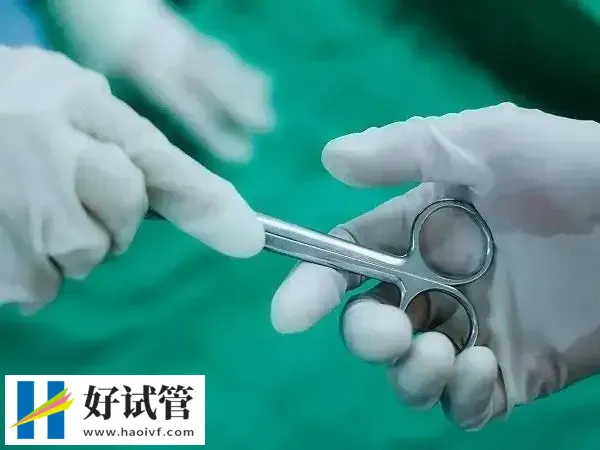 ep周期是自然周期还是人工周期(图1) 不同的方案也有不同的别称