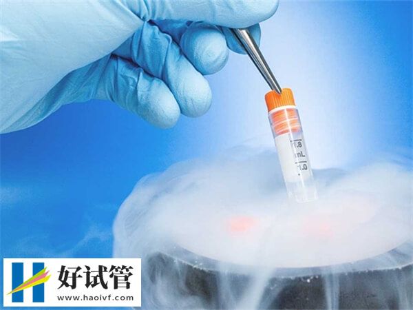 秦皇岛冻卵需要多少钱(图1) 秦皇岛冻卵促排费约5000-10000元