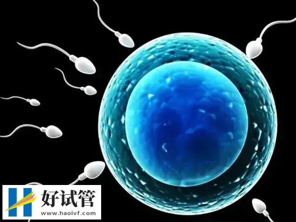 秦皇岛人工授精费用多少(图1) 每个患者做人工授精费用都有差异