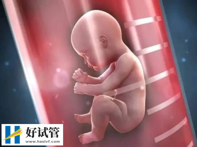 徐州做三代试管有哪些条件(图1) 内分泌正常是徐州三代试管的条件之一