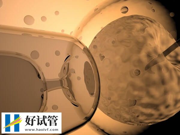 绍兴试管婴儿成功率多少(图2) 提高试管婴儿成功率的方法