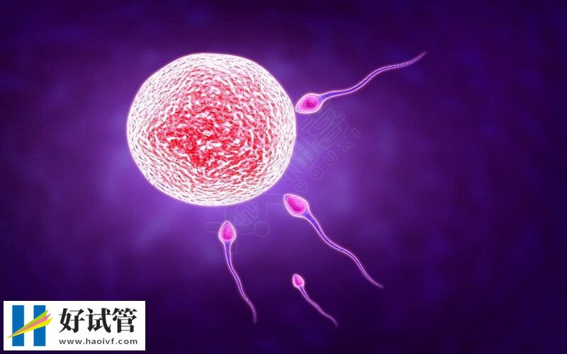 揭秘格鲁吉亚试管双胞胎费用,具体价格由这3点影响(图2) 格鲁吉亚试管双胞胎是合法的