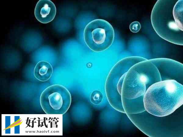 卵巢功能不好促排卵能有多少个(图1) 促排卵泡数量与身体状态有关