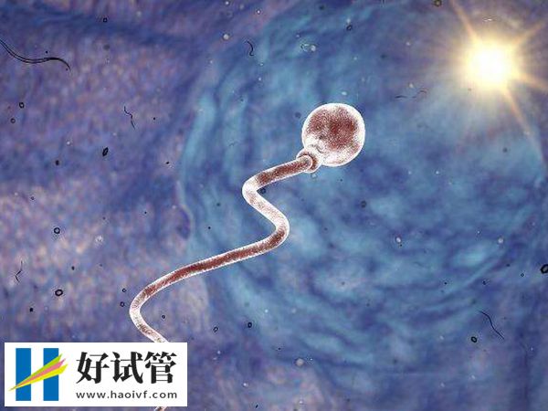 新乡医三附院生殖专家排名(图3) 人工授精成功率比试管低