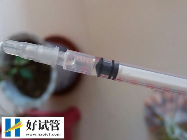 试管促排卵泡为什么不长(图1) 促排卵可以促进卵泡的发育成熟