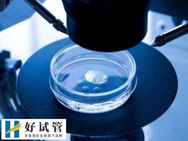 试管婴儿为什么会出现畸形(图1) 染色体会引起胚胎发育缺陷