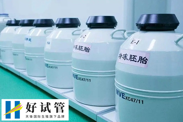 荆州一医试管和荆州中心医院试管哪个好(图2) 荆州市中心医院支持胚胎冷冻