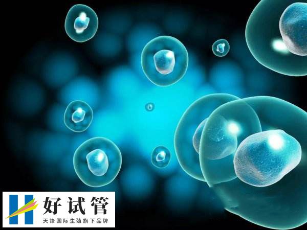 试管取卵5个够不够用(图2) 取卵只是一个小手术