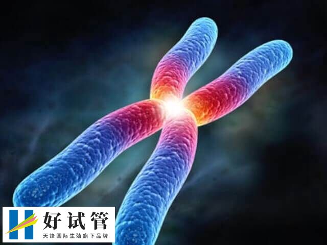 试管染色体筛查多少钱(图1) 染色体检查收费差异大