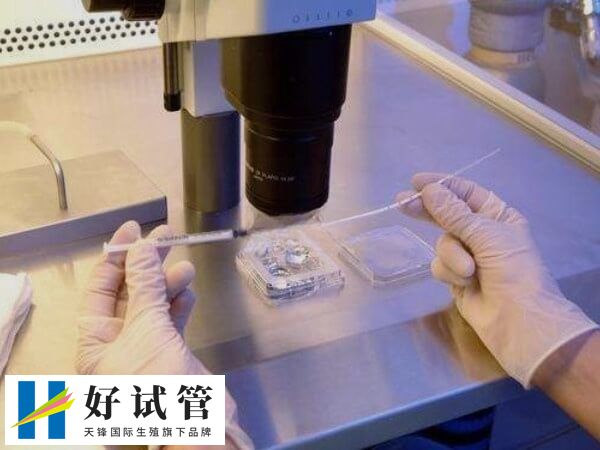 三代试管需要多长时间完成(图1) 胚胎植入前遗传学筛查要10天左右