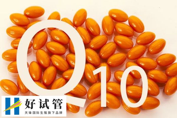 做试管婴儿吃辅酶q10有什么用(图3) 服用辅酶Q10能提高免疫力