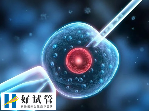 前往俄罗斯做试管合不合法(图2) 已婚状态外籍人士才能在俄罗斯做试管