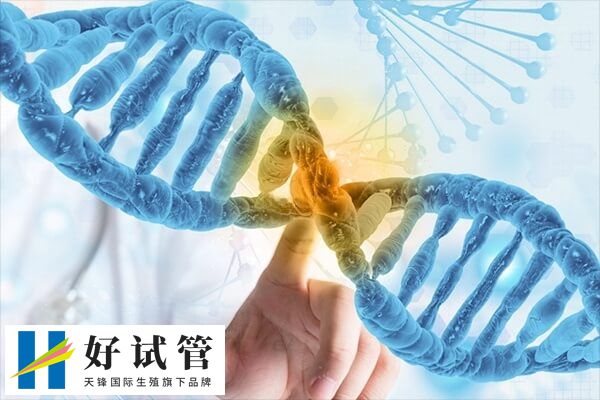 试管前基因检测有没有必要做(图1) 基因检测可预防疾病发生