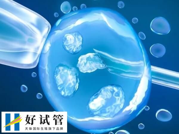 冻胚失败后隔多久再移植(图2) 冻胚移植失败后再次移植要间隔1个月