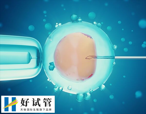 移植两个鲜胚能不能怀龙凤胎(图1) 鲜胚移植与怀龙凤胎的关系不大