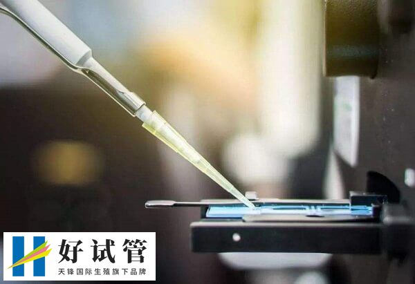 胚胎移植后打绒促能否帮助着床(图2) 打HCG能有效维持黄体功能