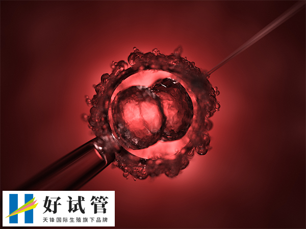 供卵试管和自卵试管是否一样(图2) 供卵试管成功率在40%-50%之间