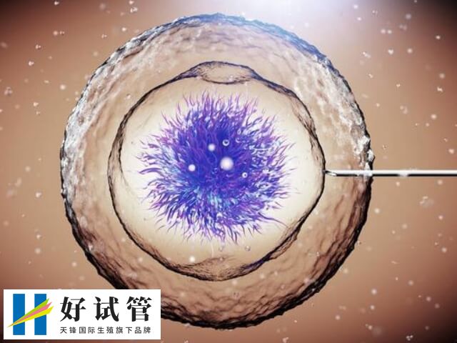 未达到冷冻标准的胚胎可不可以移植(图1) 22.jpg