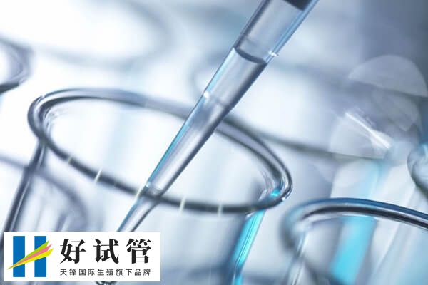 做全麻取卵手术前要检查什么(图2) 取卵前要进行阴道分泌物检查