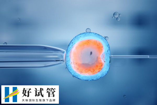 高龄夫妻做试管的成功率(图1) 41岁做试管成功率较低