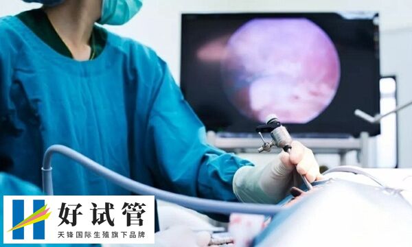 为什么第一次冻胚移植会失败(图1) 只有最健康的胚胎才会被选择进行移植