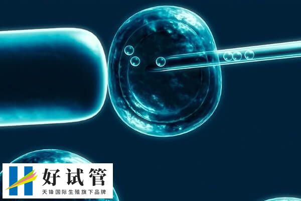 为什么第一次冻胚移植会失败(图2) 女性的免疫系统异常会影响着床率