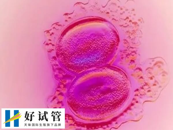7个胚胎为何只养成一个囊胚(图3) 胚胎养囊失败要注意调整心态