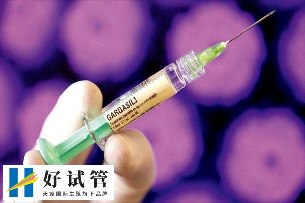 试管促排过程具体是怎样的(图2) 降调成功后就可以打促排卵针了