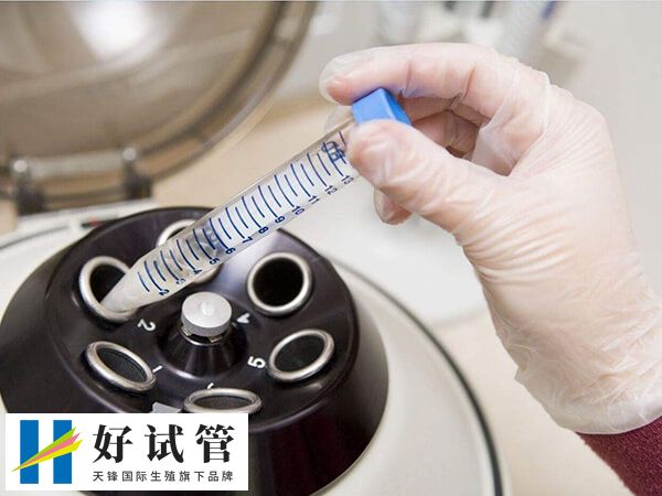 囊胚移植着床后有什么症状(图1) 囊胚移植成功后激素水平会上升