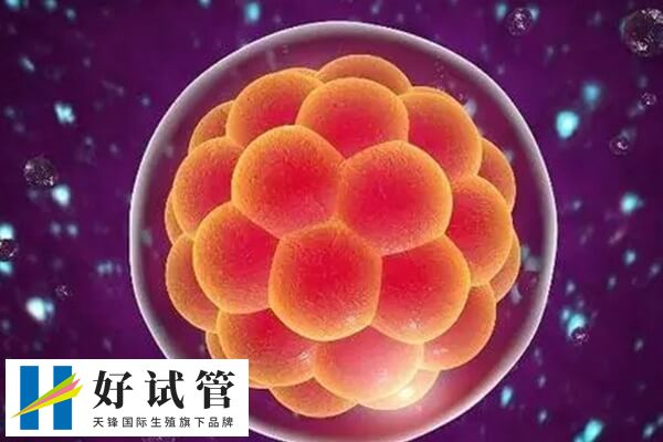 囊胚移植着床后有什么症状(图2) 囊胚移植成功后腹部可能会有轻微的隐痛