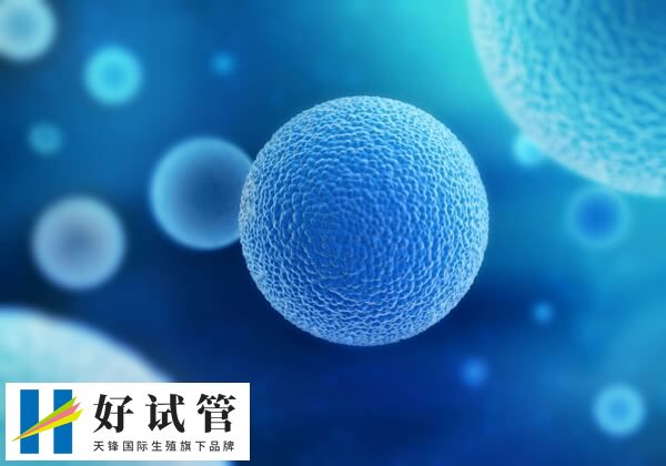 影响取卵数量的因素有哪些(图2) 基础卵泡数量越多促排卵越多