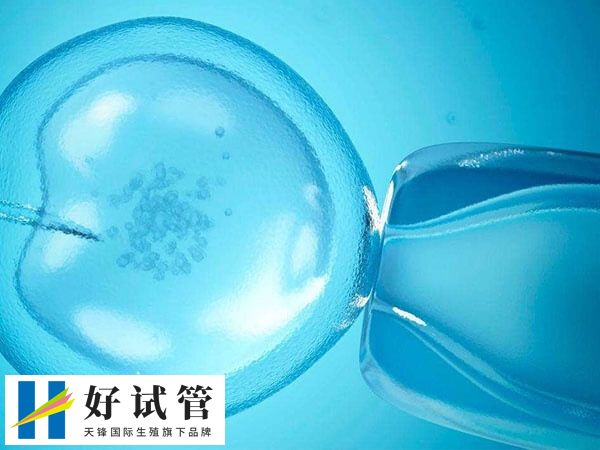 宫腔粘连手术后移植胚胎能否成功(图2) 重度宫腔粘连是比较严重的