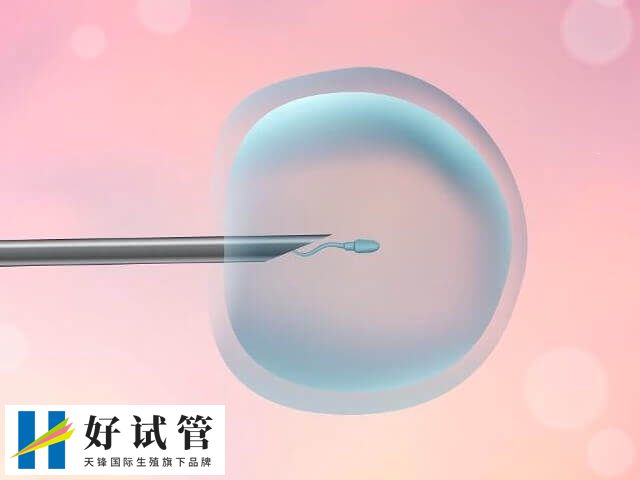 试管取卵比b超少是为什么(图1) 取卵是试管婴儿手术中十分重要的一步