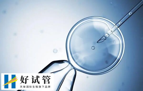 试管婴儿胚胎移植成功率多少(图1) 鲜胚是在培养皿内培养三天的胚胎